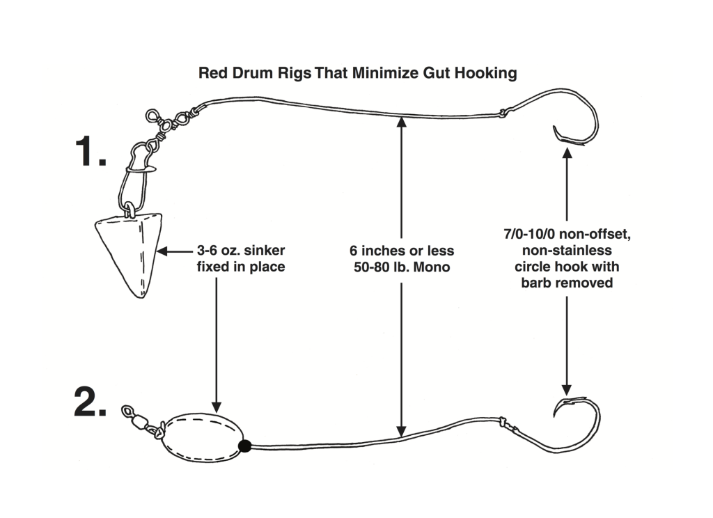 red drum rigs from the surf - The Rig You Should Be Using for Big Reds — SOUTH CAROLINA COASTAL